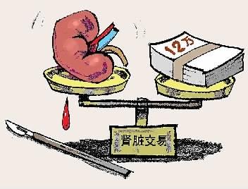 揭秘卖肾黑中介：年轻人成供体 事后体质变差后悔