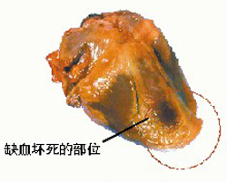 烟草 改变你的身体