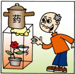 服中药小常识