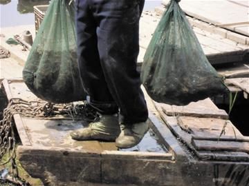 探秘小龙虾产地：用粪便催肥定期投药消毒