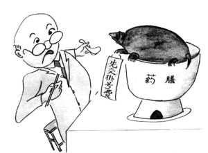 甲鱼大补别乱吃