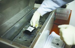 胎盘脐带血自费存储乱象