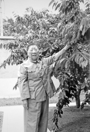 老有所好 健康长寿--大连红军村老将军养生有道