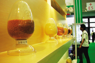 药用植提物国际拓展渐进式
