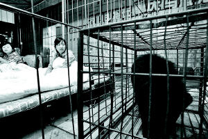 重庆美女与黑熊同住续：驯兽师害怕熊倒戈