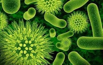 俄科学家日本海发现新型微生物 或可治疗癌症