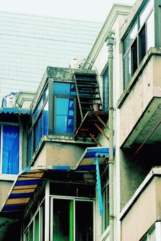 五旬老人6楼窗外架梯子爬楼顶养花