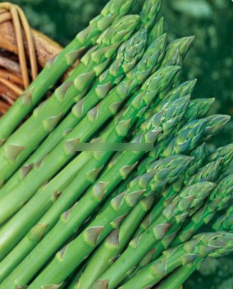 夏季养生：19种排毒功效最强的家常菜