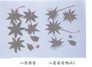 八角茴香（Bajaohuixiang）Fructus Illicil Veri
