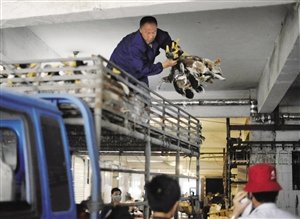 农户称宁波活禽交易“近零” 积压126万只活禽