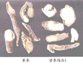 苦参（Kushen）Radix Sophorae Flavescentis