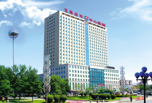 春风化雨润征程 扬起龙头惠民生——辽宁省瓦房店市中心医院十年改革发展纪实