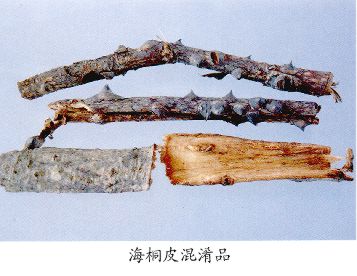 海桐皮混淆品--木棉（Mumian）