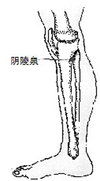 暑天小心内湿外湿夹击