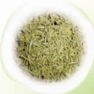 夏季过敏，善用五种草药