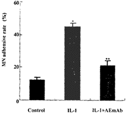 IL-1β诱导新生牛脑微血管平滑肌细胞表达E-选择素①