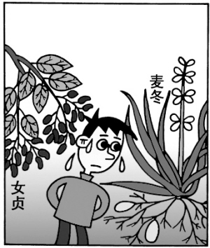 中药养生歌