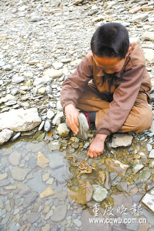 13岁男孩喜欢把青蛙蚯蚓当零食生吃