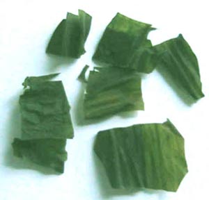降血脂的廉价食品