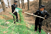 百万粒无主胶囊被倾倒在路边