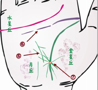 24种手相揭示疾病征兆