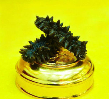 8种隐藏在食物中的“人参”