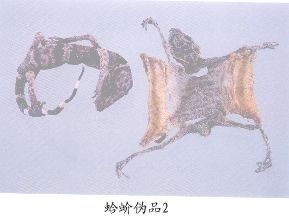 蛤蚧伪品（2）--睑虎（Jianhu）