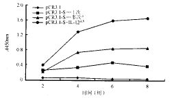 IL-12的真核表达载体促进小鼠对DNA疫苗的免疫应答
