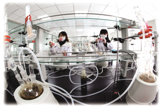 中医药“朋友圈”拓展国际空间