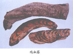 鸡血藤（Jixueteng）Caulis Spatholobi