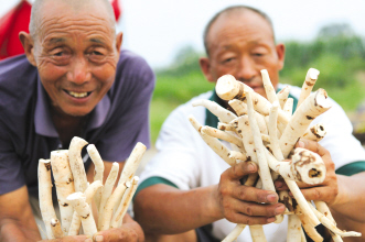 2010药市行情“五段论”