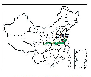 五河：输液“大繁荣”的背后