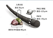 霾星人健康讲堂：PM2.5对人体健康的四大危害