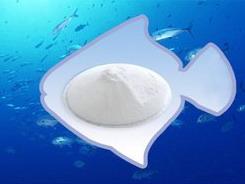 第306医院专家谈“胶原蛋白肽”研究