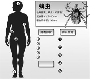上海不是“毒虫咬伤”高发地