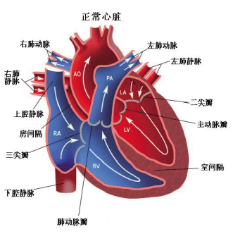 联用药物可防心血管事件