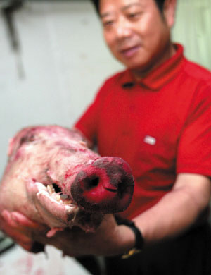 野猪闯进医院被杀分肉
