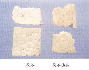 茯苓伪品--假茯苓块（Jiafulingkuai）
