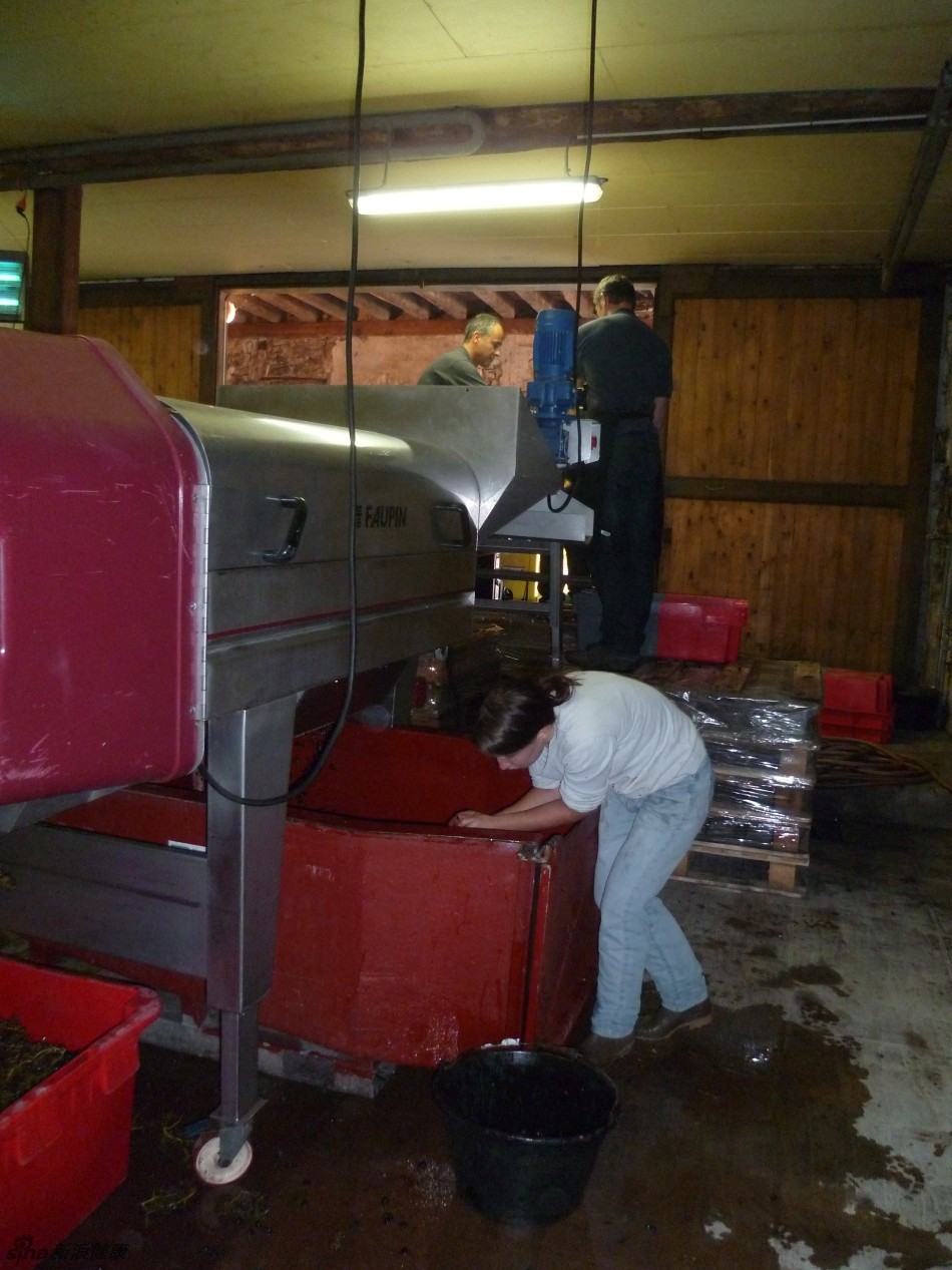 27.除梗破碎