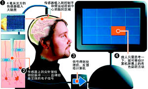 美国瘫痪男子借助电脑芯片实现意念移物