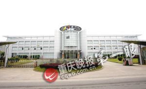 重庆欲建榨菜博物馆 最贵榨菜1斤卖2000元
