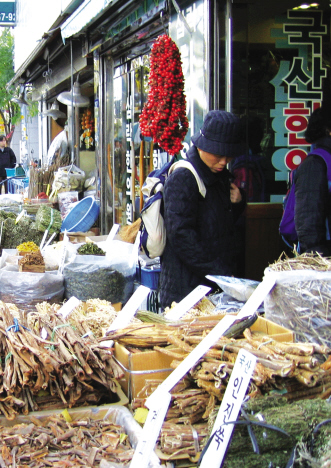 中医药东亚合作寻方