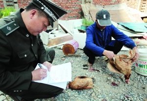 南京开出首张养家禽查处单 城管称只告诫未罚款
