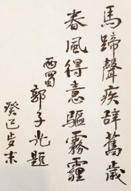 郭子光：总在追问还能做些啥