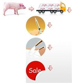 双汇一公司陷“瘦肉精门”