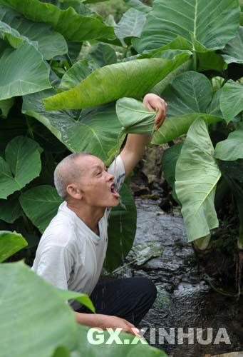 好水喝出“寿乡”来 世界长寿之乡探秘