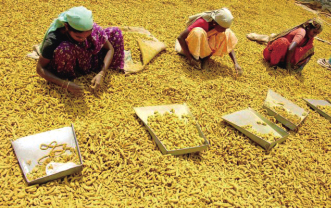 印尼或成为姜黄素新供应地