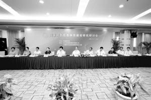 完善国家药品应急保障体系是当务之急——国家药品应急体系建设研究课题研讨侧记