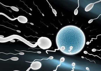 精子的惊人新发现