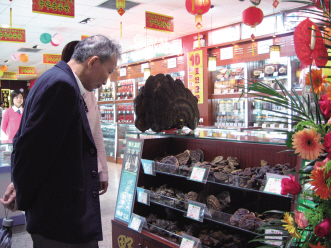 多元化进程期待商业模式突围